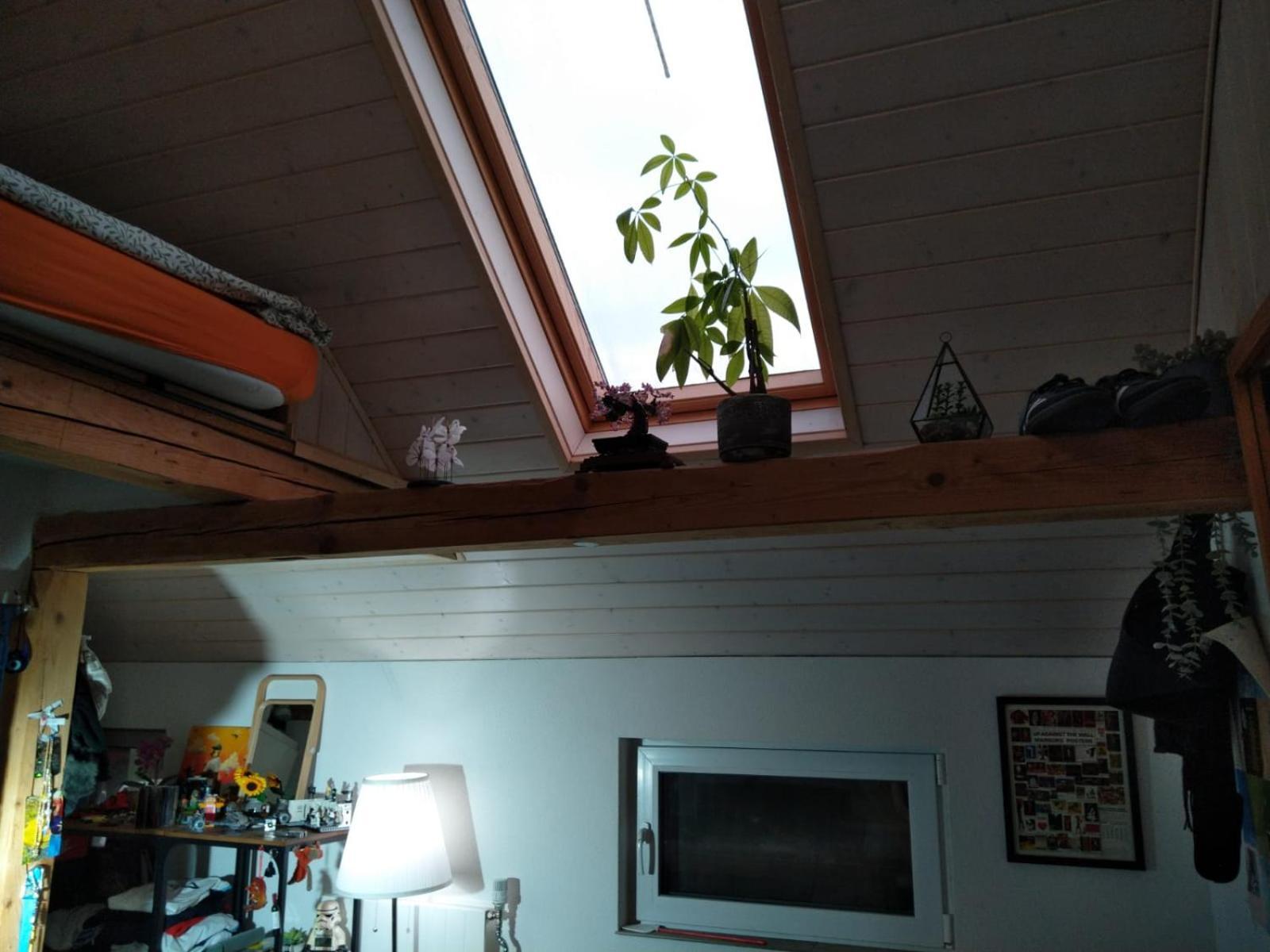 Charmantes Western-zimmer Mit Veranda Auf Dem Raihof Farm stay *